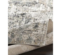 Livabliss Quatro Qua-2300 Medium Gray 5'3" x 7'3" Area Rug