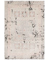 Livabliss Venezia Vnz-2301 Rose 3'11" x 5'7" Area Rug