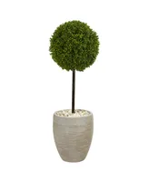 Nearly Natural 3' Boxwood Ball Topiary Artificial Tree in Oval Planter Uv Resistant