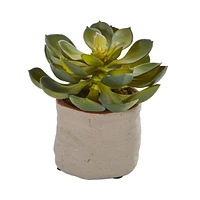 Nearly Natural Mixed Succulent Artificial Plant, Set of 4