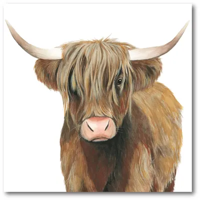 Courtside Market Highland Cattle Ii Gallery-Wrapped Canvas Wall Art - 20" x 20"