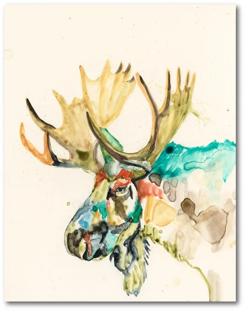 Illustration Moose, water color painting
