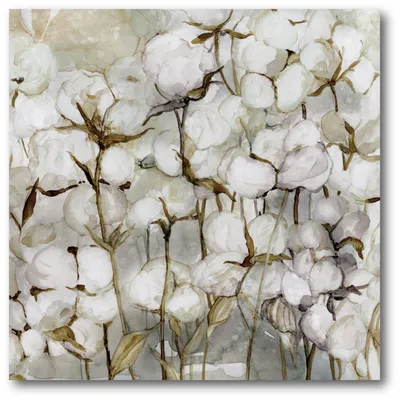 Courtside Market Cotton Field Gallery-Wrapped Canvas Wall Art - 16" x 16"