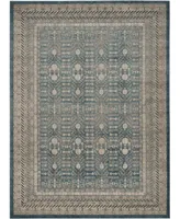 Safavieh Sofia SOF376 Blue and Beige 8' x 11' Area Rug