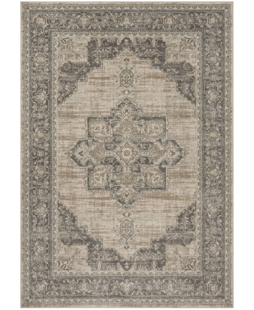Safavieh Brentwood BNT865 Cream and Gray 6' x 9' Area Rug