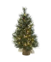 3-Ft. Christmas Tree with Clear Lights, Frosted Tips, Pine Cones and Burlap Bag