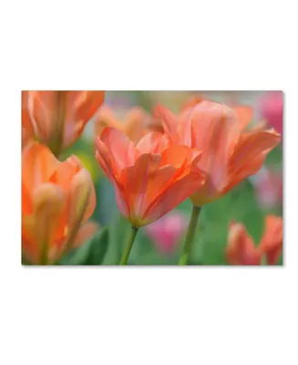 Cora Niele 'Tulip Flower Orange Wings' Canvas Art - 47" x 30" x 2"