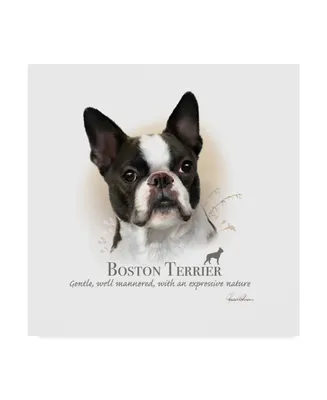 Howard Robinson 'Boston Terrier' Canvas Art - 14" x 14" x 2"