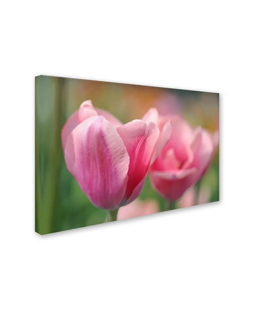 Cora Niele 'Tulip Flower Pink Mirella' Canvas Art - 47" x 30" x 2"