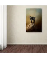 Jai Johnson 'Little Rock Climber' Canvas Art - 32" x 22" x 2"