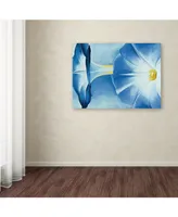 Georgia O'Keefe 'Blue Morning Glories' Canvas Art - 19" x 14" x 2"