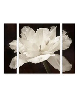 Cora Niele 'White Tulip I' Multi Panel Art Set Large - 30" x 41" x 2"