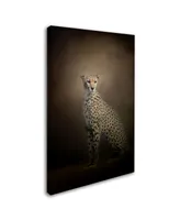 Jai Johnson 'The Elegant Cheetah' Canvas Art - 32" x 22" x 2"