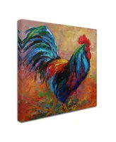 Marion Rose 'Mr T Rooster' Canvas Art - 24" x 24" x 2"