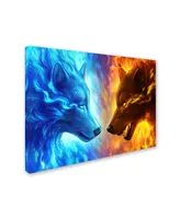 JoJoesArt 'Fire and Ice' Canvas Art - 19" x 14" x 2"