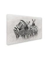 Kirill Trubitsyn 'Zebras' Canvas Art - 24" x 16" x 2"