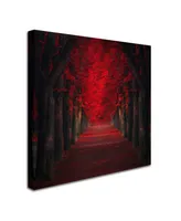 Ildiko Neer 'Endless Passion' Canvas Art - 35" x 35" x 2"