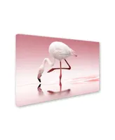 Doris Reindl 'Flamingo' Canvas Art - 24" x 16" x 2"