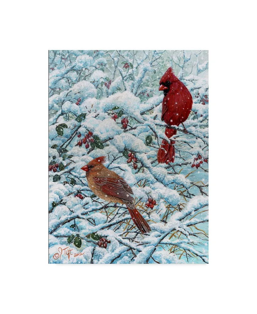 Jeff Tift 'Winter Cardinal Painting' Canvas Art - 24" x 32"