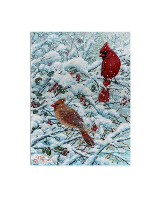 Jeff Tift 'Winter Cardinal Painting' Canvas Art - 24" x 32"