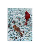 Jeff Tift 'Winter Cardinal Painting' Canvas Art - 24" x 32"