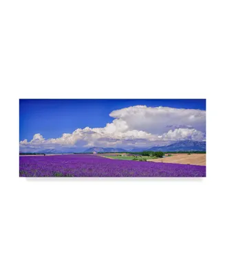 Michael Blanchette Photography 'Cloud Bank Over Lavender Panorama' Canvas Art - 32" x 14"