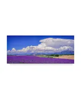 Michael Blanchette Photography 'Cloud Bank Over Lavender Panorama' Canvas Art - 32" x 14"