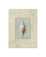 Lisa Audit 'Soothing Words Shells I' Canvas Art - 14" x 19"