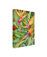 Joanne Porter 'Birds Of Paradise' Canvas Art - 30" x 47"