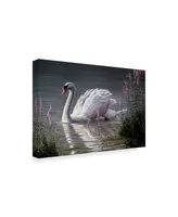 Wilhelm Goebel 'Summer Idyll Mute Swan' Canvas Art - 16" x 24"