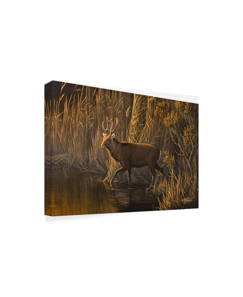 Wilhelm Goebel 'Evening Rounds Sika Deer' Canvas Art