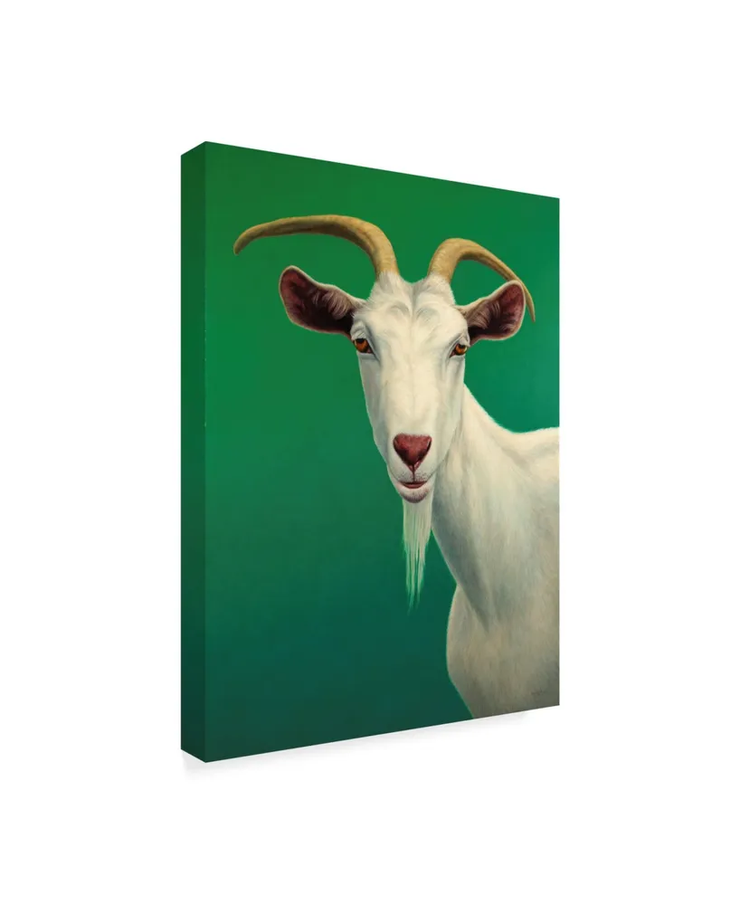 James W. Johnson 'Portrait Of A Goat' Canvas Art - 18" x 24"