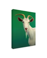 James W. Johnson 'Portrait Of A Goat' Canvas Art - 18" x 24"