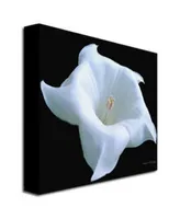Kathie McCurdy 'Moonflower Black and White' Canvas Art - 35" x 35"