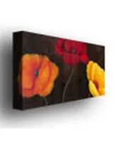 Rio 'Orange Red and Yellow' Canvas Art - 47" x 24"