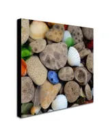 Michelle Calkins 'PetoskeyStones V' Canvas Art - 14" x 14"