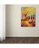 Marion Rose 'Autumn Dreams' Canvas Art - 24" x 32"