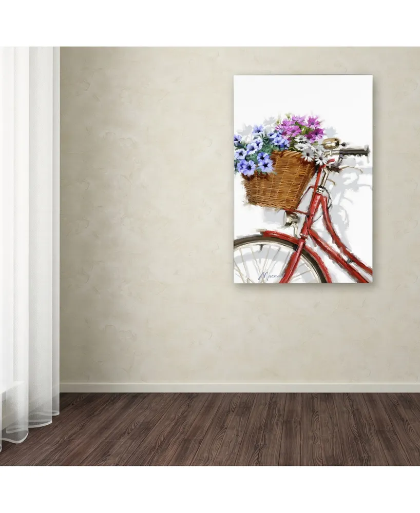 The Macneil Studio 'Bicycle With Basket' Canvas Art - 12" x 19"