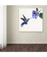 The Macneil Studio 'Humming Bird' Canvas Art - 35" x 35"