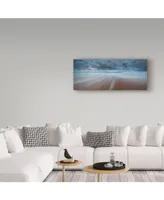 Everlook Photography 'Waitpinga' Canvas Art - 20" x 47"