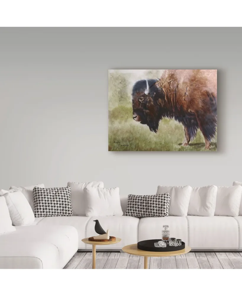 Rusty Frentner 'Buffalo' Canvas Art - 18" x 24"