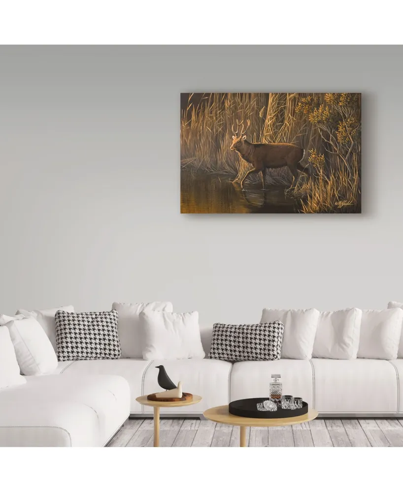 Wilhelm Goebel 'Evening Rounds Sika Deer' Canvas Art