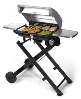 Cuisinart Cgg-240 All Foods Roll-Away Gas Grill