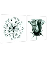 Empire Art Direct 2 Piece Frameless Free Floating Tempered Glass Panel Graphic Wall Art Set - 24" x 24''