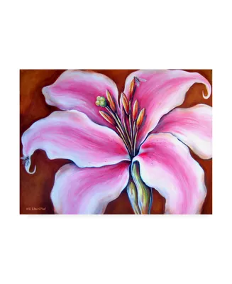 Deborah Broughton Flower Lily bees Canvas Art