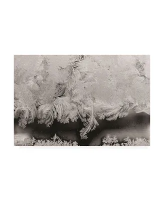 Kurt Shaffer Photographs Intricate ice crystals on my window Canvas Art
