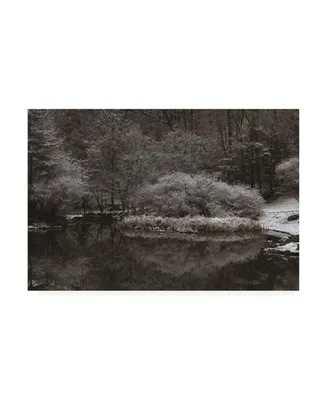 Kurt Shaffer Photographs Serene Winter Scene Canvas Art