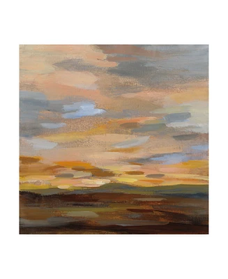 Silvia Vassileva High Desert Sky Iii Canvas Art