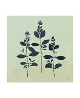 Julia Purinton Botanical Study Iv Canvas Art