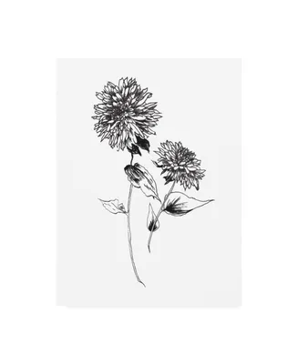 Wild Apple Portfolio Sketchbook Flowers on White Iv Canvas Art